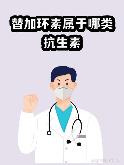 替加环素属于哪类抗生素